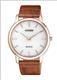 Đồng hồ Nam Citizen AR1133-15A