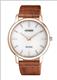Đồng hồ Nam Citizen AR1133-15A
