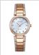 Đồng hồ Nữ Citizen EM0843-51D