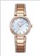 Đồng hồ Nữ Citizen EM0843-51D