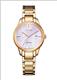 Đồng hồ Nữ Citizen EW2593-87Y