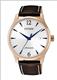 Đồng hồ Nam Citizen NJ0113-10A