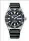 Đồng hồ Nam Citizen NY0120-01E